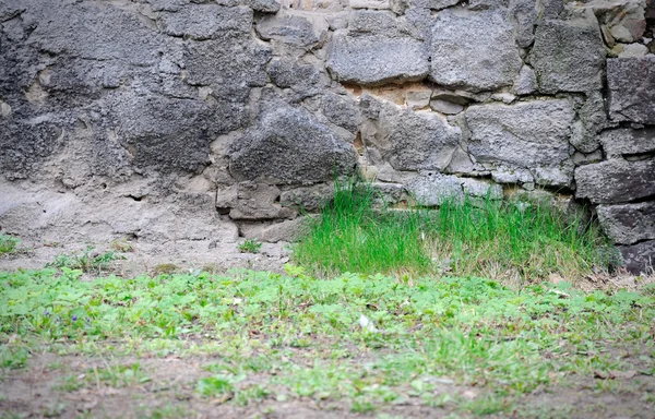 Taş duvar ve çim — Stok fotoğraf