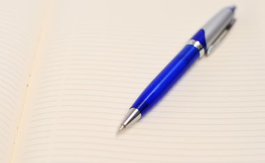 kalem ve günlüğü