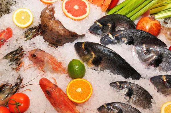Fish and seafood — Stock Photo, Image