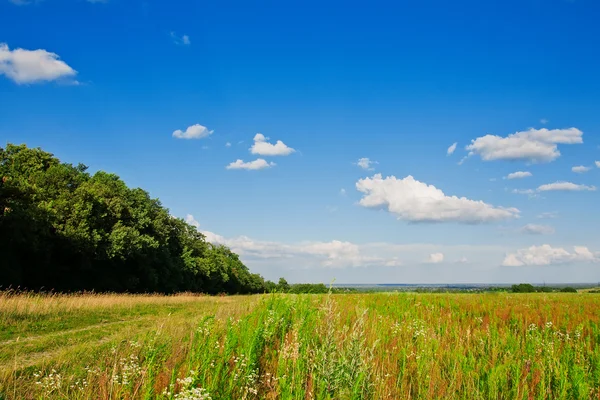 Paesaggio — Foto Stock