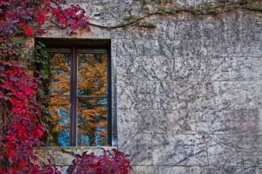 pencere