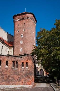 Wawel Kalesi.