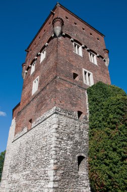 Wawel Kalesi.