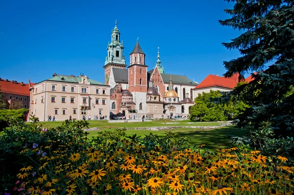 Castillo de Wawel —  Fotos de Stock
