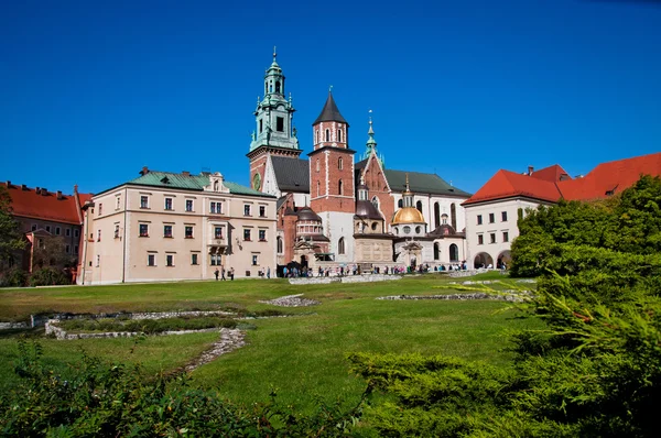 Château de Wawel — Photo