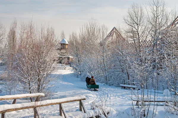 Inverno — Fotografia de Stock