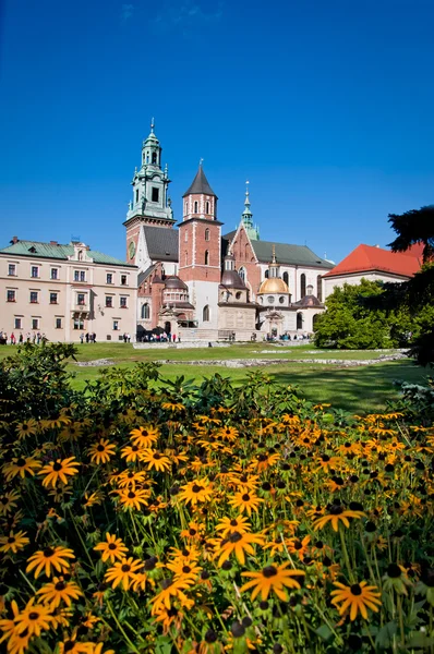 Wawel-Burg — Stockfoto