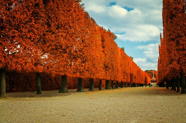 Parco autunnale — Foto Stock