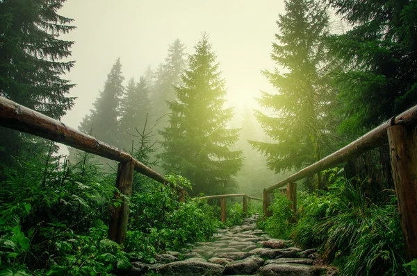 Strada di pietra — Foto Stock