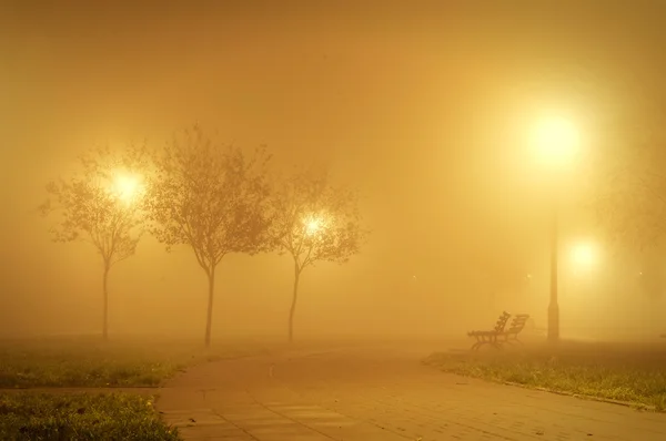 Parque por la noche — Foto de Stock