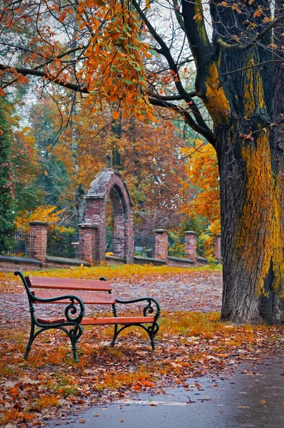 Herbstpark — Stockfoto