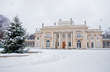 Kışın Łazienki Parkı