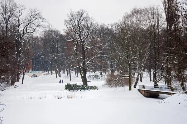 Parku Lazienki v zimě — Stock fotografie