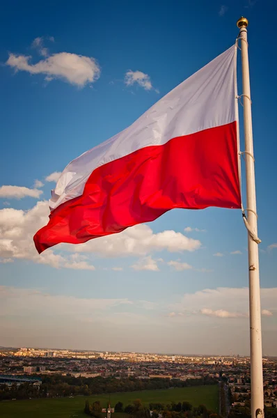 Polnische Flagge — Stockfoto