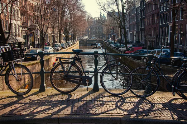 Amsterdammer — Stockfoto