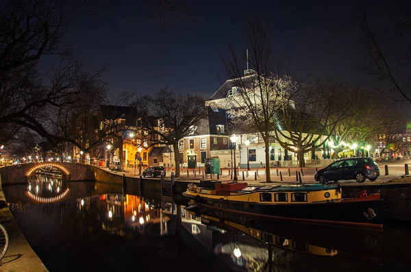 Amsterdammer — Stockfoto