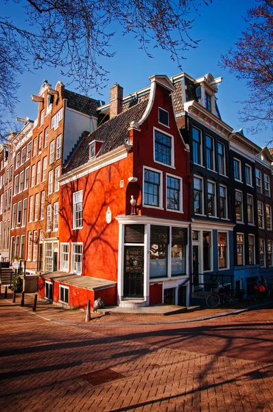 Amsterdammer — Stockfoto