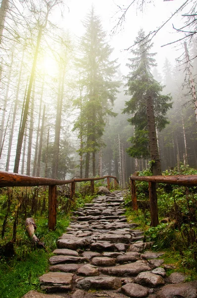 Strada di pietra — Foto Stock