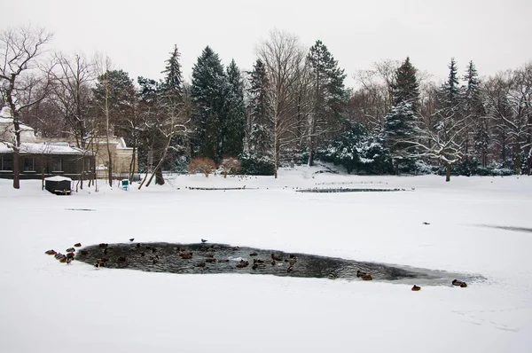 Parque Lazienki en invierno — Foto de Stock