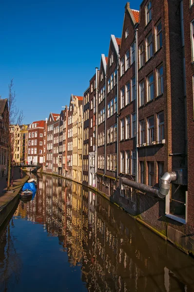 Amsterdammer — Stockfoto