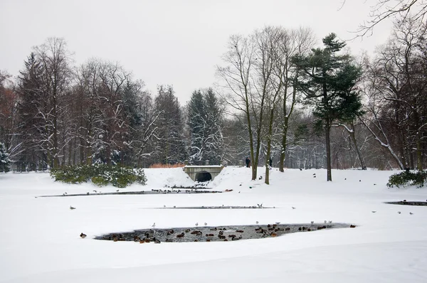 Parco Lazienki — Foto Stock