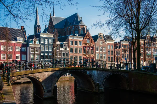 Amsterdammer — Stockfoto