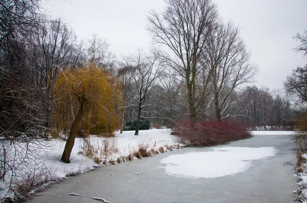 Park Tiergarten — Zdjęcie stockowe