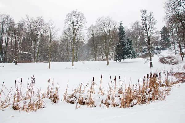 Parcul Lazienki — Fotografie, imagine de stoc