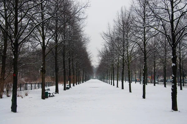 Parken Tiergarten — Stockfoto