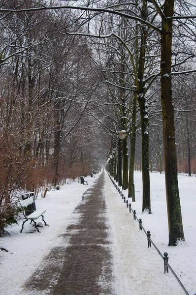 Parque de tiergarten — Fotografia de Stock