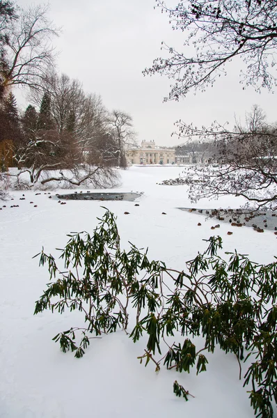 Lazienki Park in winter — Stock Photo, Image