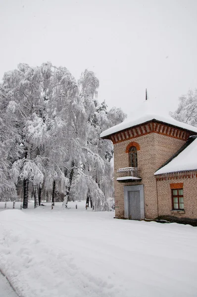 A neve — Fotografia de Stock