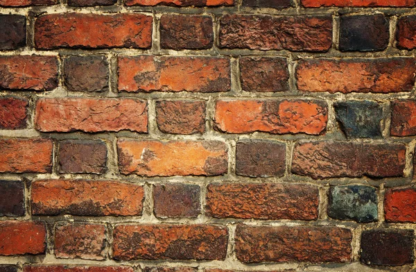 Brick Wal — Photo