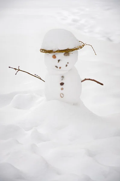 Kardan adam — Stok fotoğraf