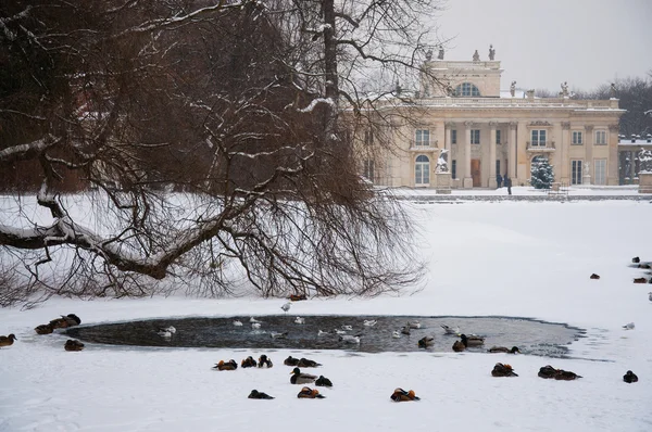 Parco Lazienki in inverno . — Foto Stock