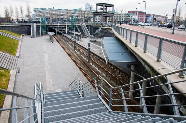 Amsterdammer — Stockfoto