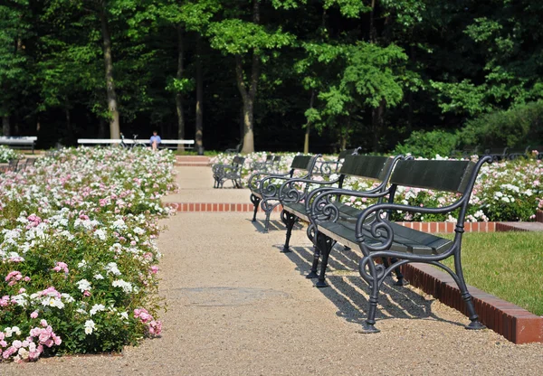 Lazienki-Park — Stockfoto