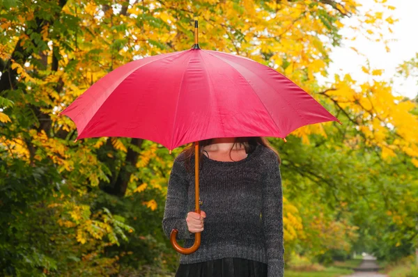 Roter Regenschirm — Stockfoto