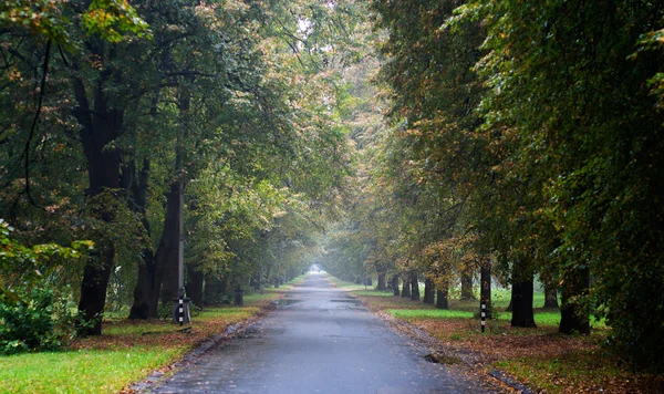 Long straight road — Stock Photo, Image