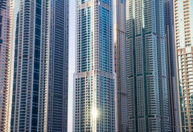Dubai ev
