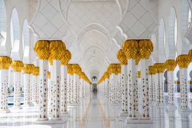 Sheikh zayed Camisi