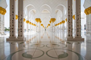 Sheikh zayed Camisi