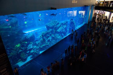 dubai alışveriş merkezi Akvaryum