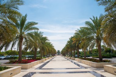 Güzel park 