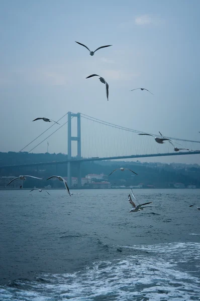 Bosphorus — Stock Photo, Image