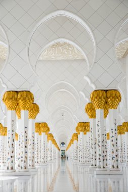 Abu Dabi 'deki Şeyh Zayed camii.