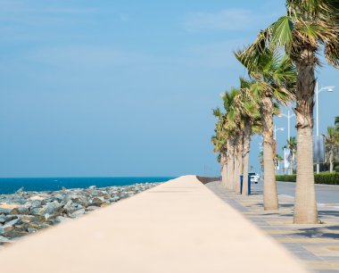 Dubai'de Palmiye Adası yolda