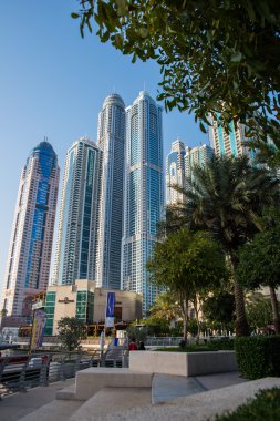 Dubai Marina 'daki gökdelenler