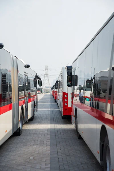 Bussen op de parkeerplaats in dubai — Stockfoto
