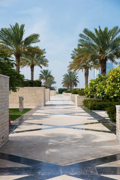 Parco con palme a Dubai — Foto Stock